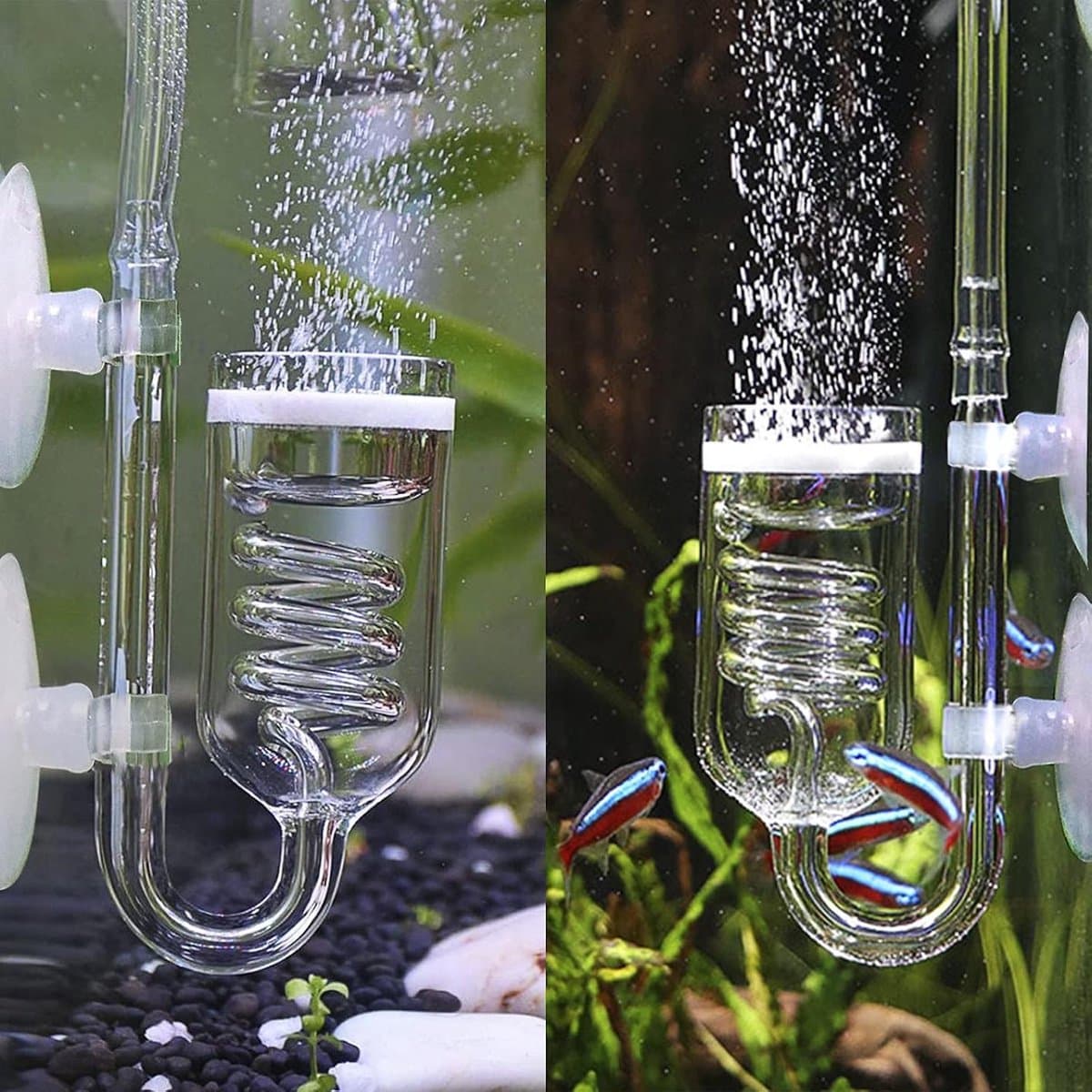 carmdering - CO2 Diffusor - CO2 Systeem Spiral - Aquarium Diffusor - Verhoogt CO2 Oplossing - Beschermt Planten Gezondheid - Hoogwaardig Glas - 1 Stuk thumbnail 6