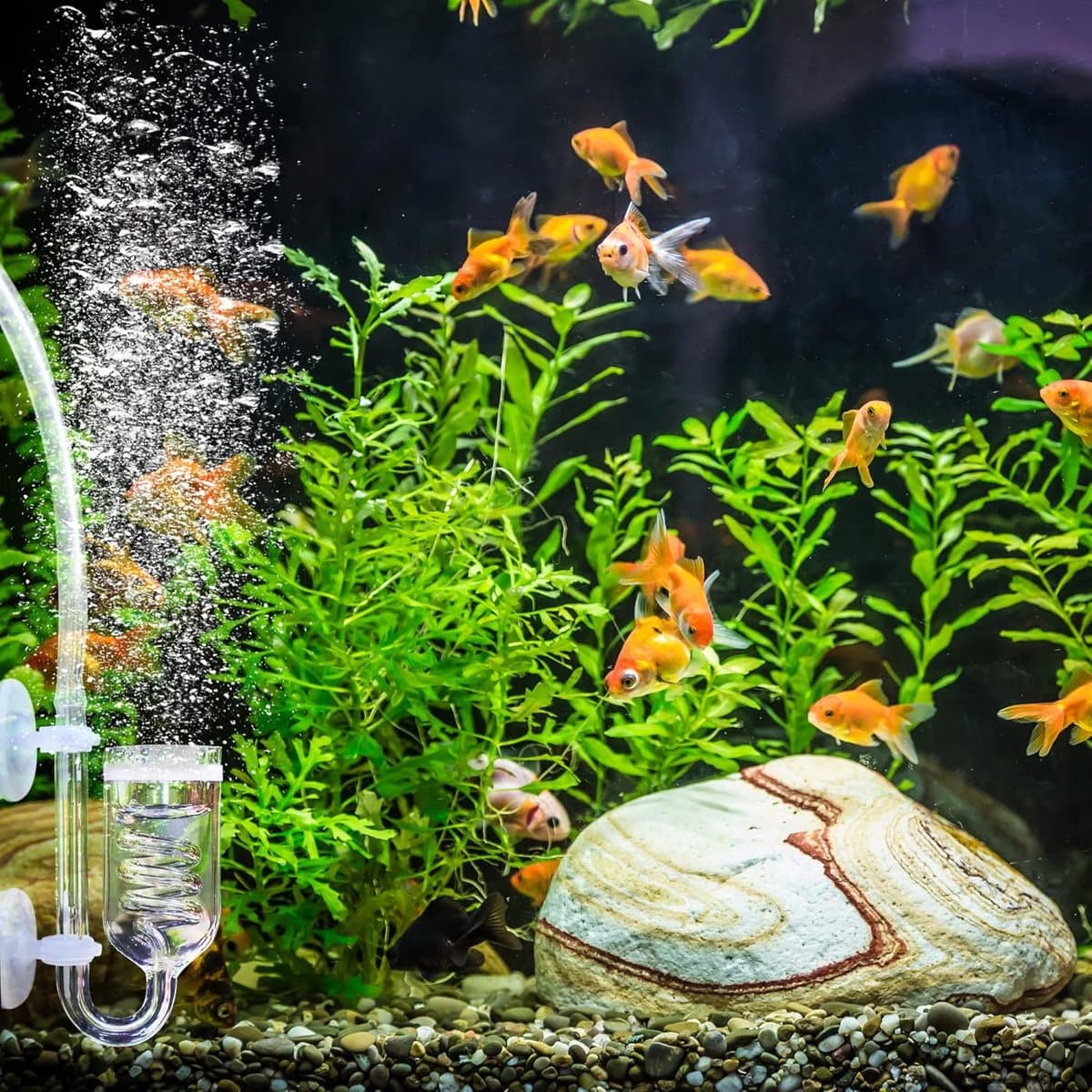 carmdering - CO2 Diffusor - CO2 Systeem Spiral - Aquarium Diffusor - Verhoogt CO2 Oplossing - Beschermt Planten Gezondheid - Hoogwaardig Glas - 1 Stuk thumbnail 7