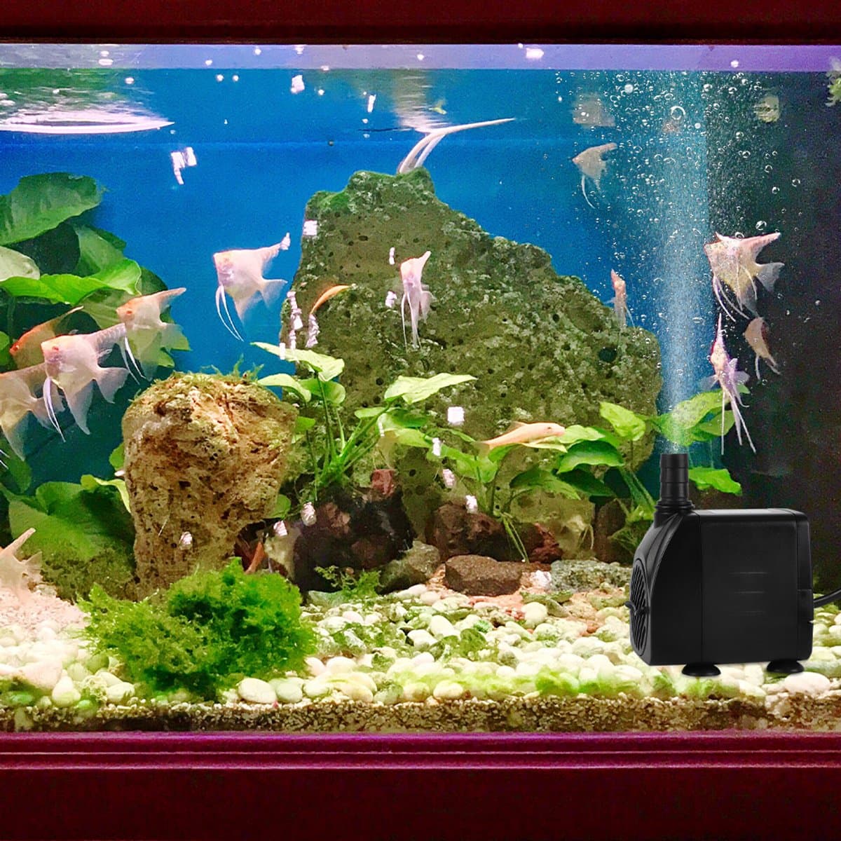 Ultrastille Dompelpomp 840 L/U - 10W Regelbare Doorstroming 2 Sproeikoppen Gereedschaploze Reiniging - Ideaal Voor Hydrocultuur Watervallen En Aquariums thumbnail 7