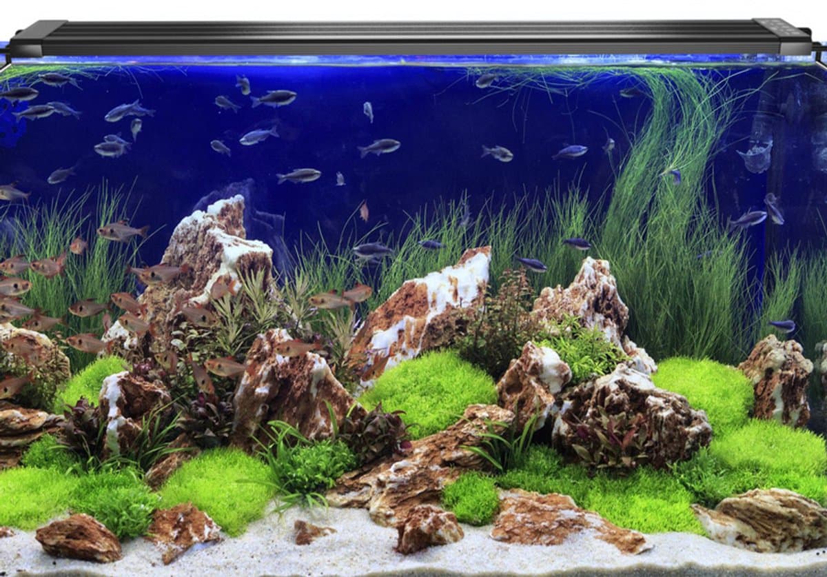 Aquarium lamp - LED Aquariumverlichting - Dimbaar - Timer - RGB- 50.5cm - Past bij 55 tot 80cm aquarium - Verschillende maten verkrijgbaar thumbnail 3