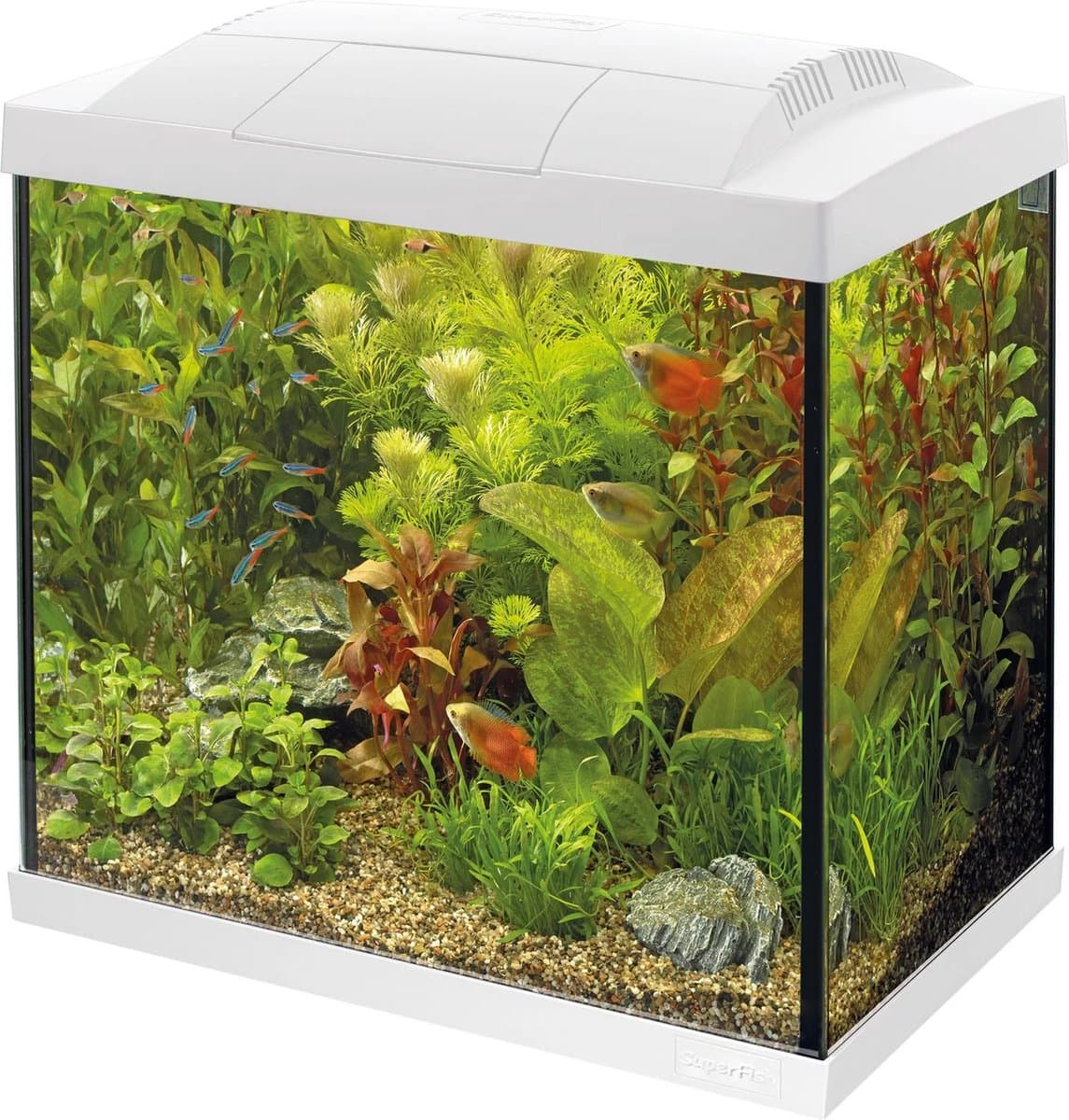 Superfish Aquarium Start 30 Tropical Kit Retro Led 27 l - Aquaria - Wit thumbnail 4