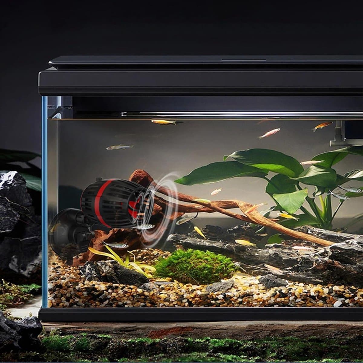 KZQ Aquariumgolfpomp - Golfmaker met turbine-stijl - Aquariumcirculatiepomp - Adapter inbegrepen - vereist 12V/2A-adapter voor werking - In 4 standen instelbare stroming - Geschikt voor visbakken en aquaria thumbnail 3