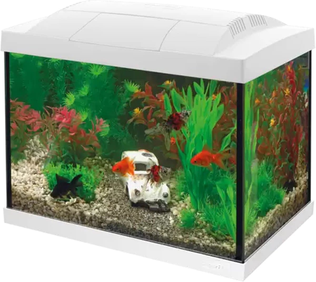 SuperFish Start 20 Goldfish Kit - wit - 20 L thumbnail 7
