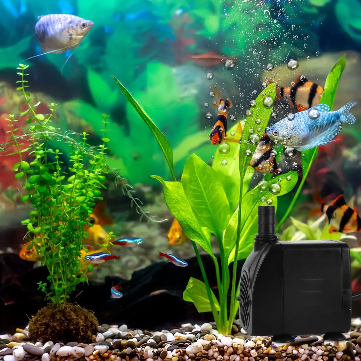 Ultrastille Dompelpomp 840 L/U - 10W Regelbare Doorstroming 2 Sproeikoppen Gereedschaploze Reiniging - Ideaal Voor Hydrocultuur Watervallen En Aquariums thumbnail 12