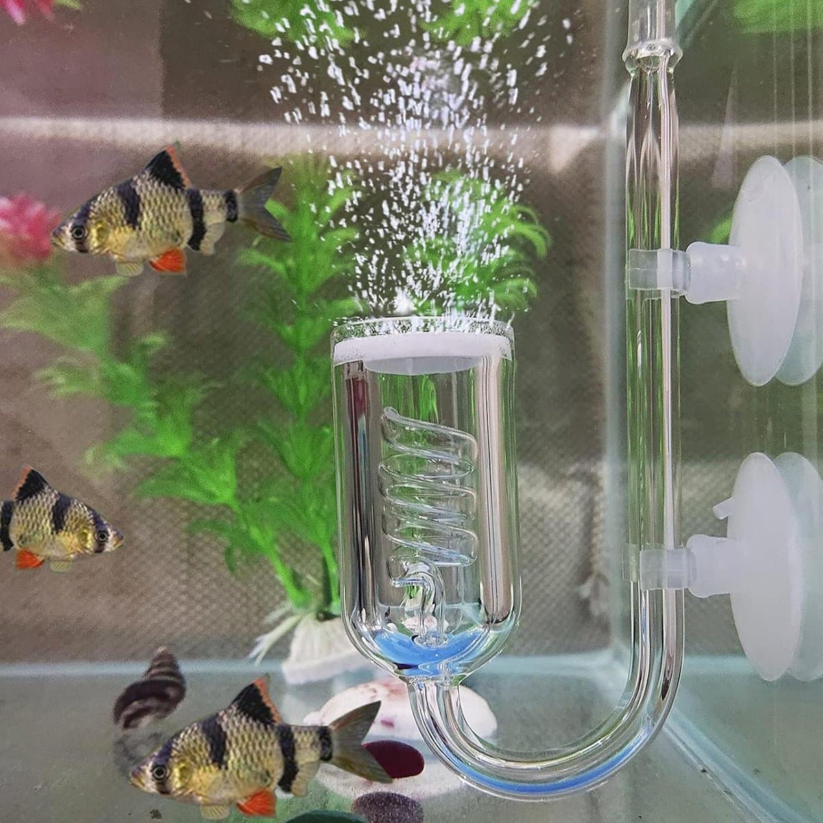 carmdering - CO2 Diffusor - CO2 Systeem Spiral - Aquarium Diffusor - Verhoogt CO2 Oplossing - Beschermt Planten Gezondheid - Hoogwaardig Glas - 1 Stuk thumbnail 3