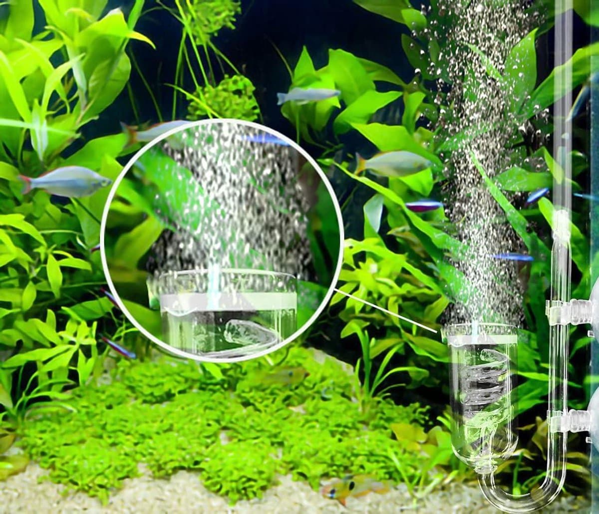 carmdering - CO2 Diffusor - CO2 Systeem Spiral - Aquarium Diffusor - Verhoogt CO2 Oplossing - Beschermt Planten Gezondheid - Hoogwaardig Glas - 1 Stuk thumbnail 5