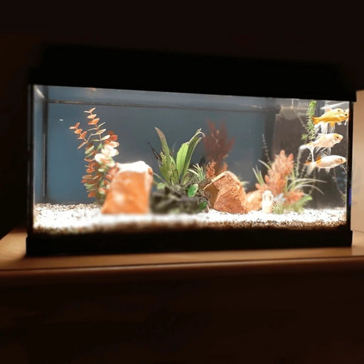 Aquarium Led Verlichting - Warm Wit Licht - Afstandsbediening - Lengte 50 cm thumbnail 4
