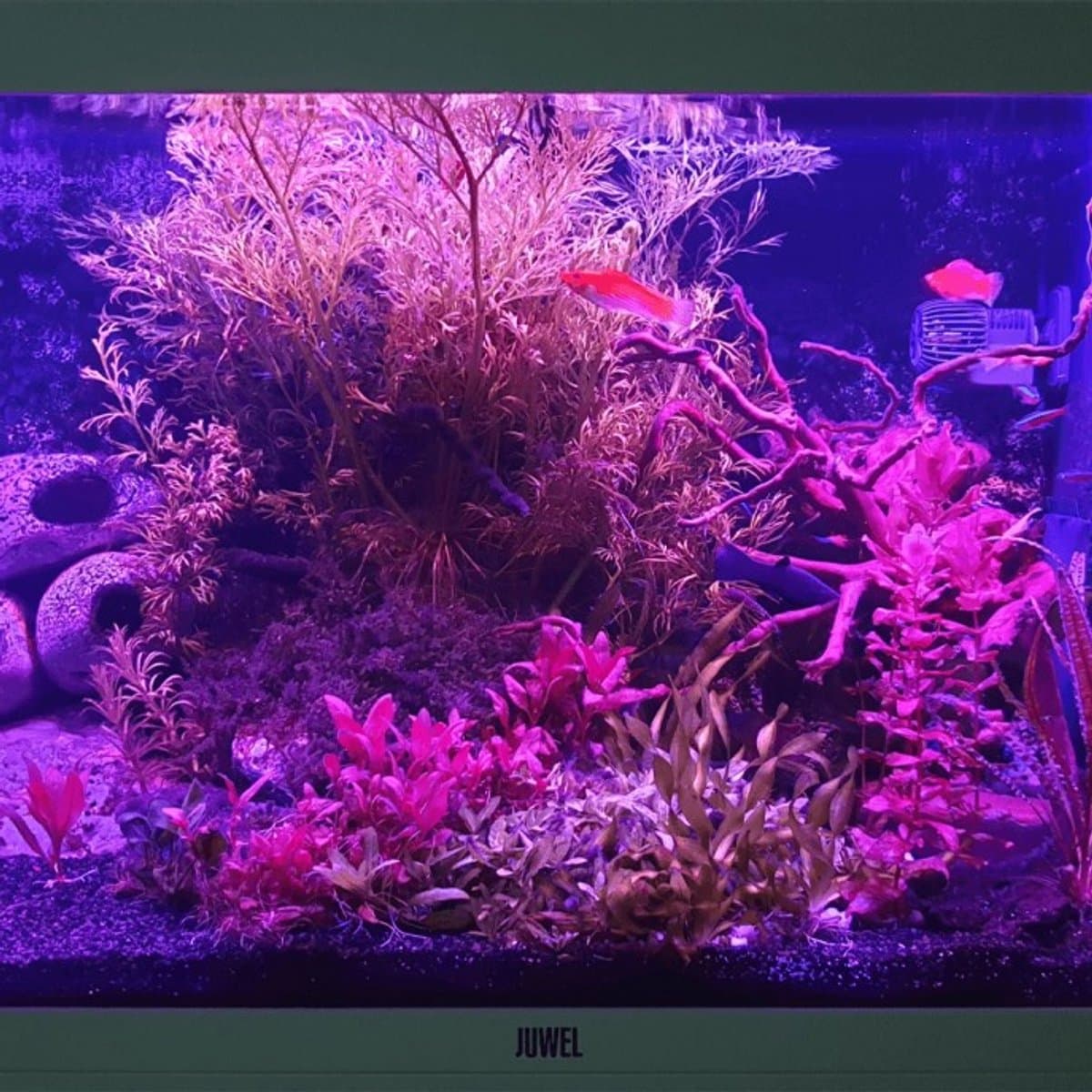 Aquarium Led Verlichting - RGB - 70 t/m 100 cm - Complete set met afstandsbediening - Aquarium Led strip thumbnail 4