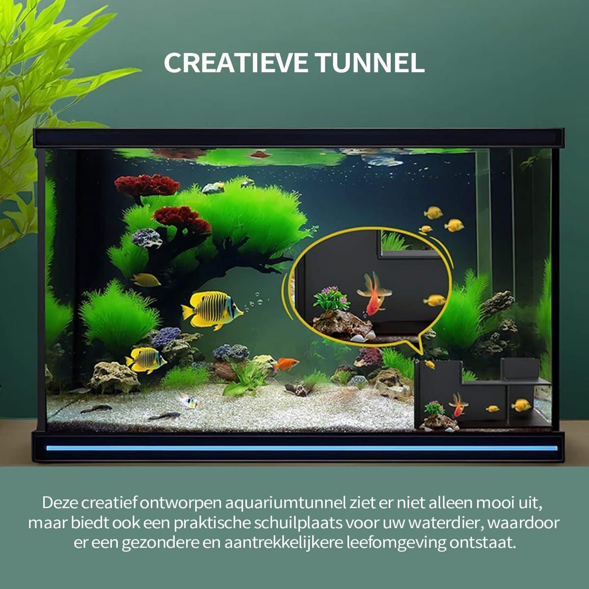 MAGICSHE Aquarium Schuilplaats Decoratie Ornamenten - Aquarium Ondergrondse Tunnel Voor Vis En Garnalen - Schuilplaats Vissen Met 2 Ingangen Zwart Dubbelhouder thumbnail 5