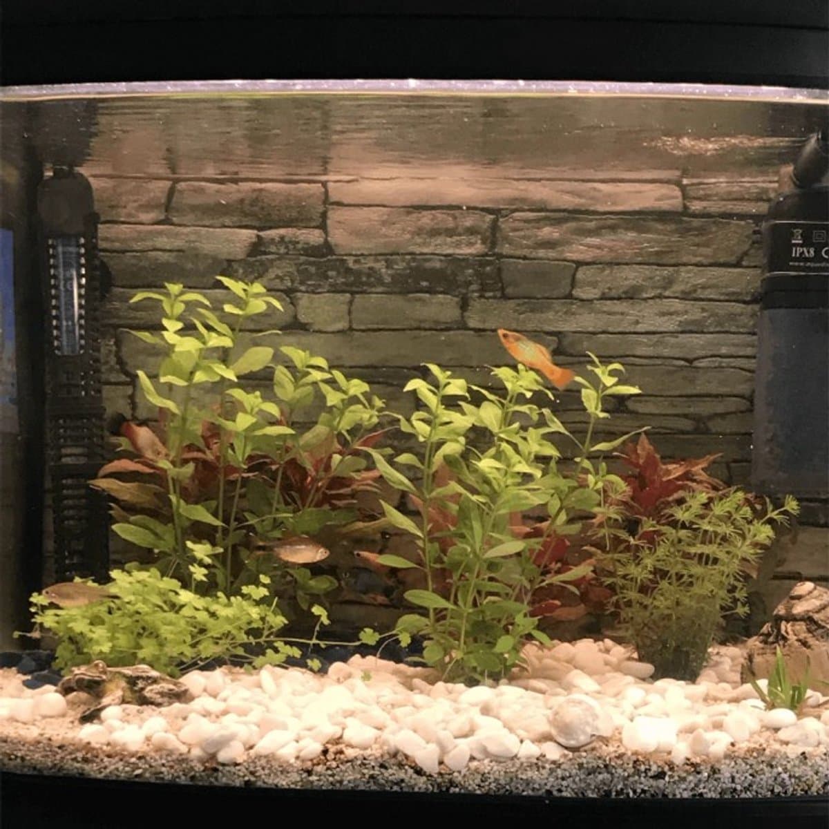 Aquarium Led Verlichting - Warm Wit Licht - Afstandsbediening - Lengte 50 cm thumbnail 5