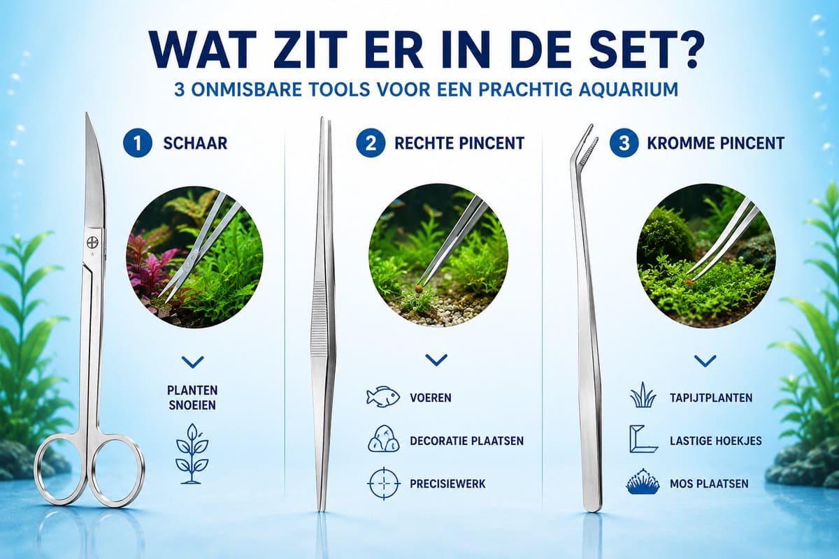 Aqua-Loui® - Aquarium Gereedschapset - 3-delig RVS - 2 Pincetten & Schaar - Voor Aquascaping en Plantenverzorging thumbnail 3