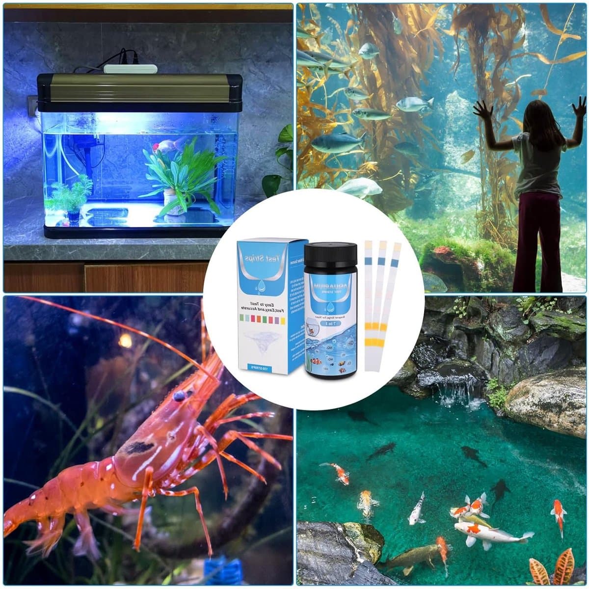 7-in-1 pH Teststrips voor Aquariums en Zwembaden - Waterkwaliteit Testset voor Ammoniak, Nitriet en Chloorwaarden thumbnail 7