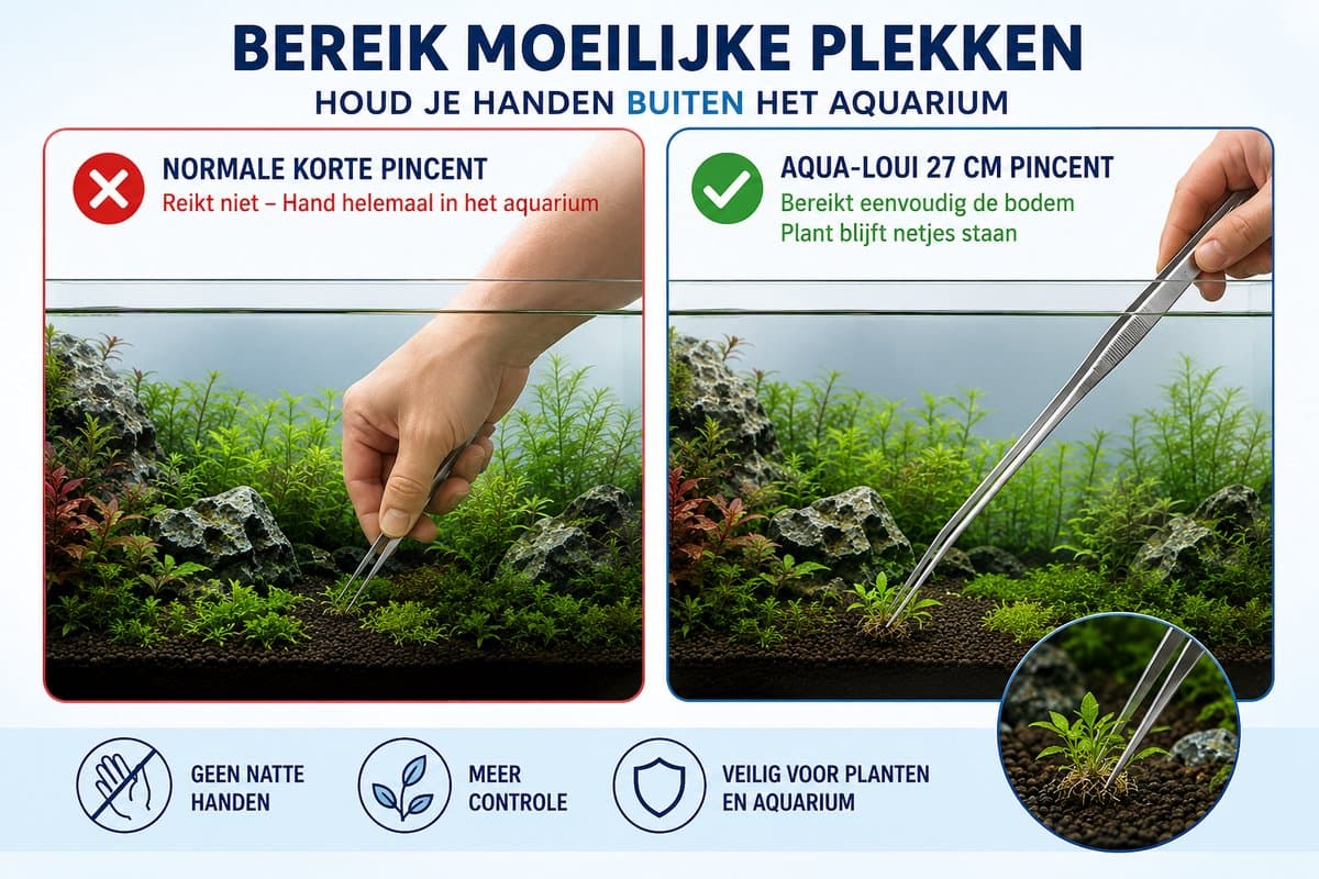 Aqua-Loui® - Aquarium Gereedschapset - 3-delig RVS - 2 Pincetten & Schaar - Voor Aquascaping en Plantenverzorging thumbnail 5
