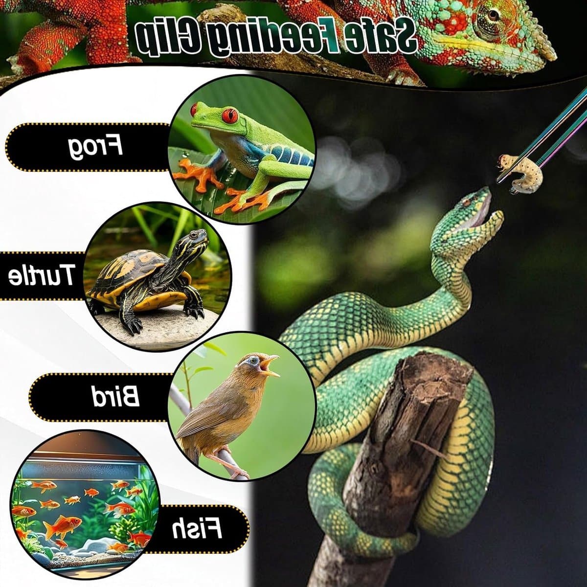 Kleurige Aquarium Tangen voor Precisie en Onderhoud - Ideaal voor Planten en Decoratie thumbnail 5