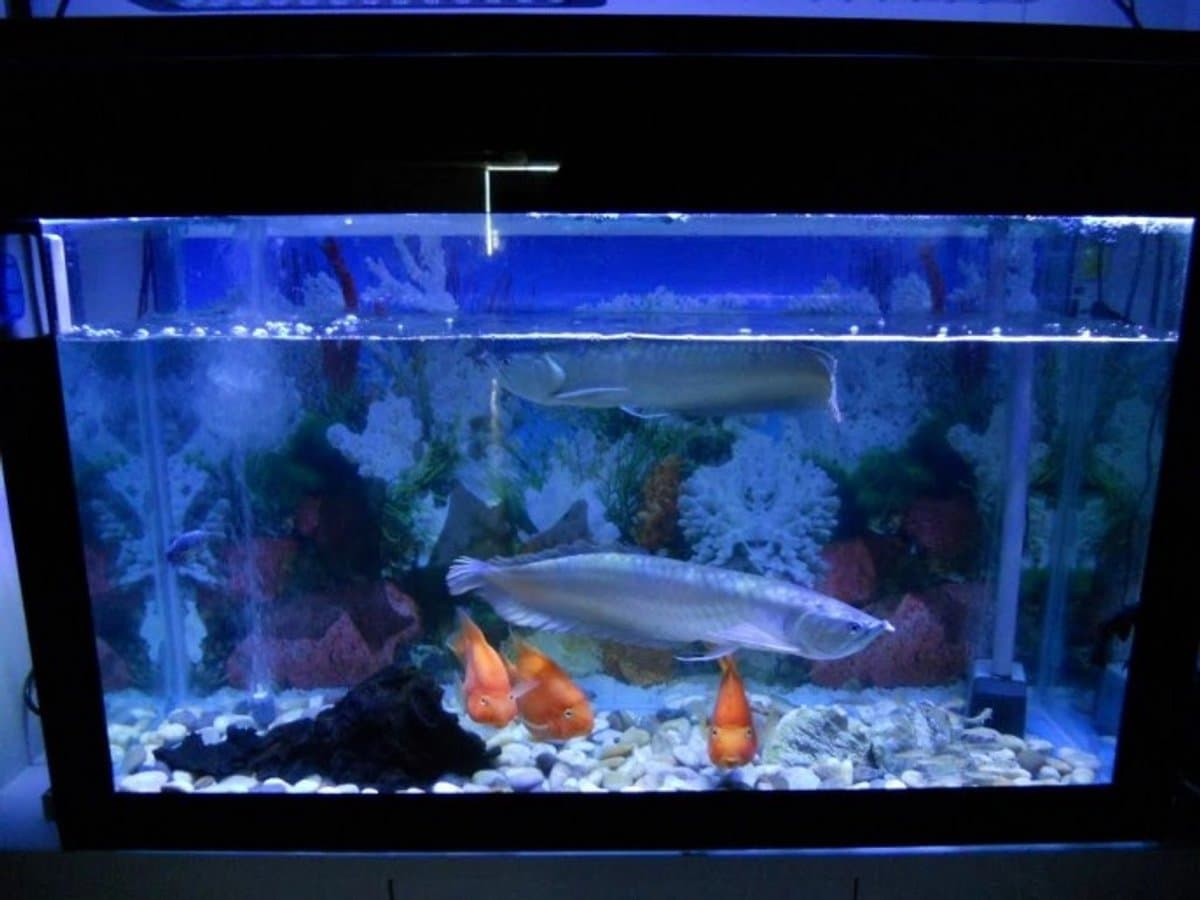 Aquarium Led Verlichting - RGB - 70 t/m 100 cm - Complete set met afstandsbediening - Aquarium Led strip thumbnail 7