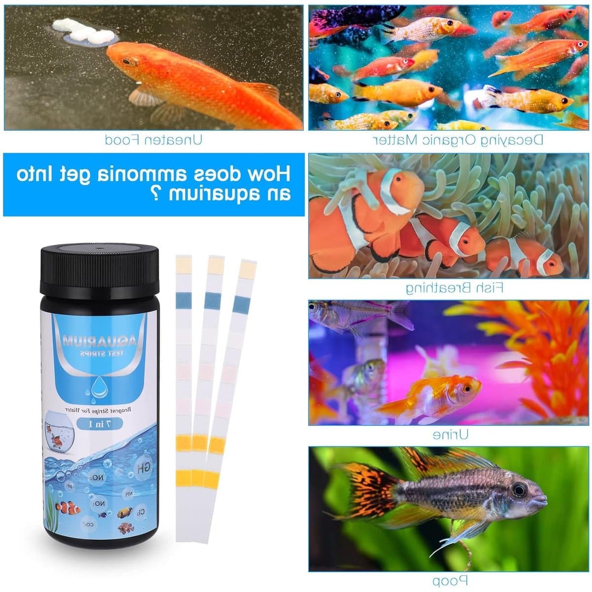 7-in-1 pH Teststrips voor Aquariums en Zwembaden - Waterkwaliteit Testset voor Ammoniak, Nitriet en Chloorwaarden thumbnail 4