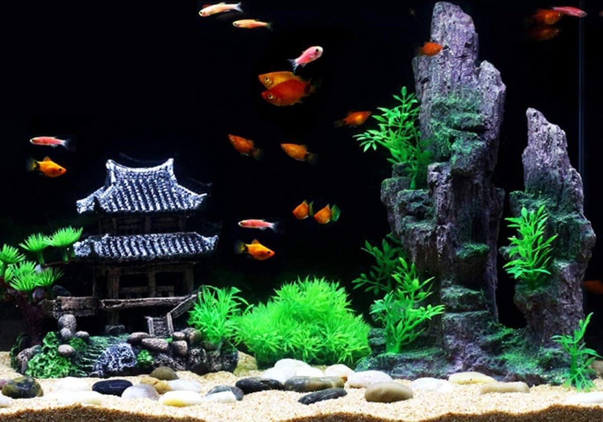 Aquarium - Aquarium Decoratie - Aquarium Decoratie Ornamenten - Vissenkom thumbnail 3