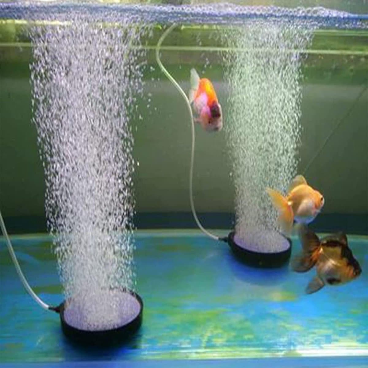 SnelShoppen - Grote Luchtsteen Schijf, Luchtsteen voor Vijvers, Bubbler voor Aquarium, Duurzaam en Niet-Toxisch, Ideaal voor Tuin en Aquariums thumbnail 4