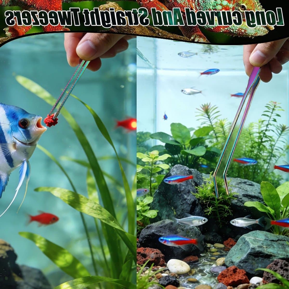Kleurige Aquarium Tangen voor Precisie en Onderhoud - Ideaal voor Planten en Decoratie thumbnail 3