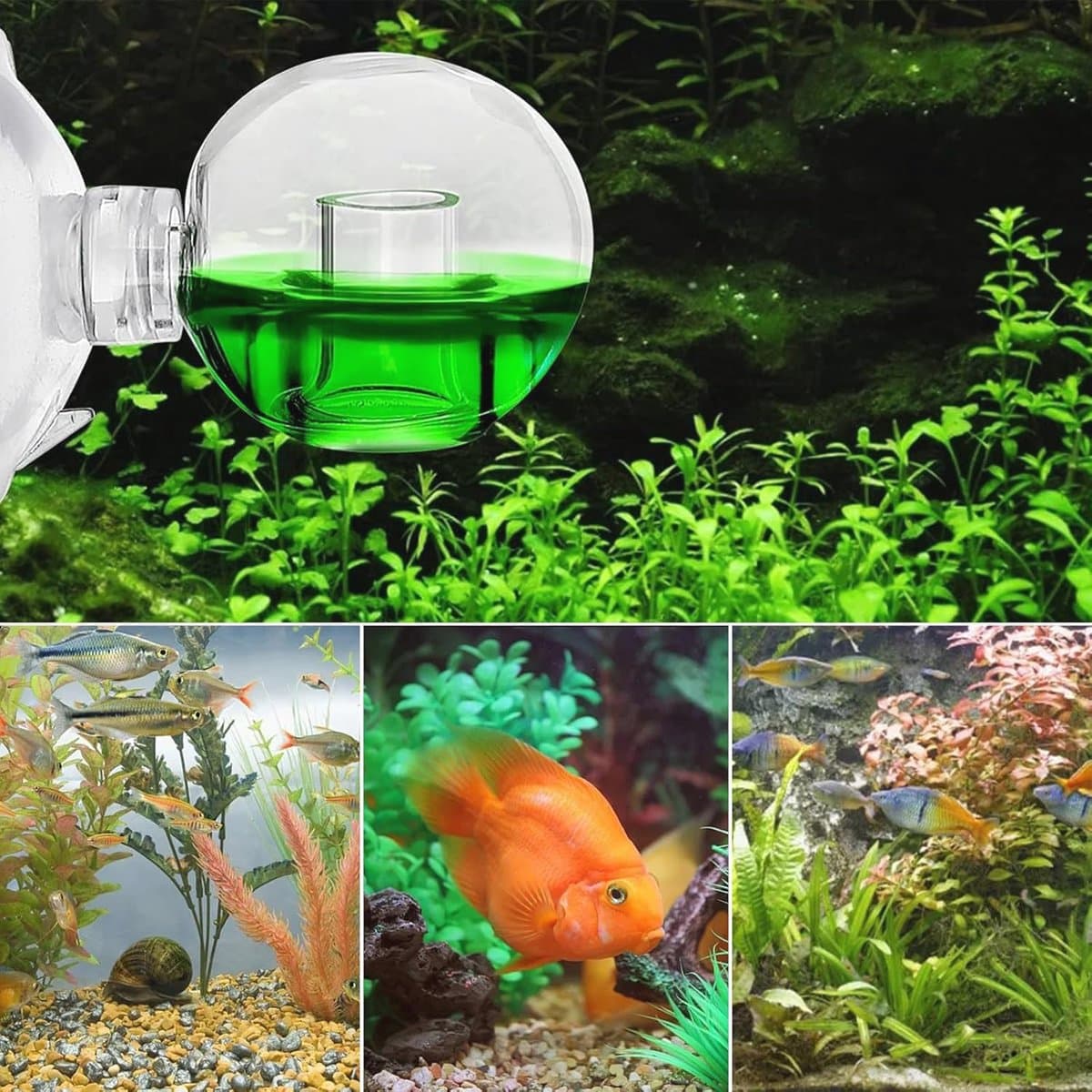 CO2 Testset voor Aquaria - 2 Stuks CO2 Monitor en Druppelchecker voor Zoetwaterplanten thumbnail 3