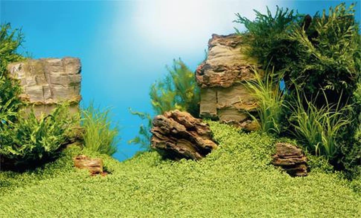 Juwel Aquarium Decoratie - Achterwand - L - 100x50cm thumbnail 8