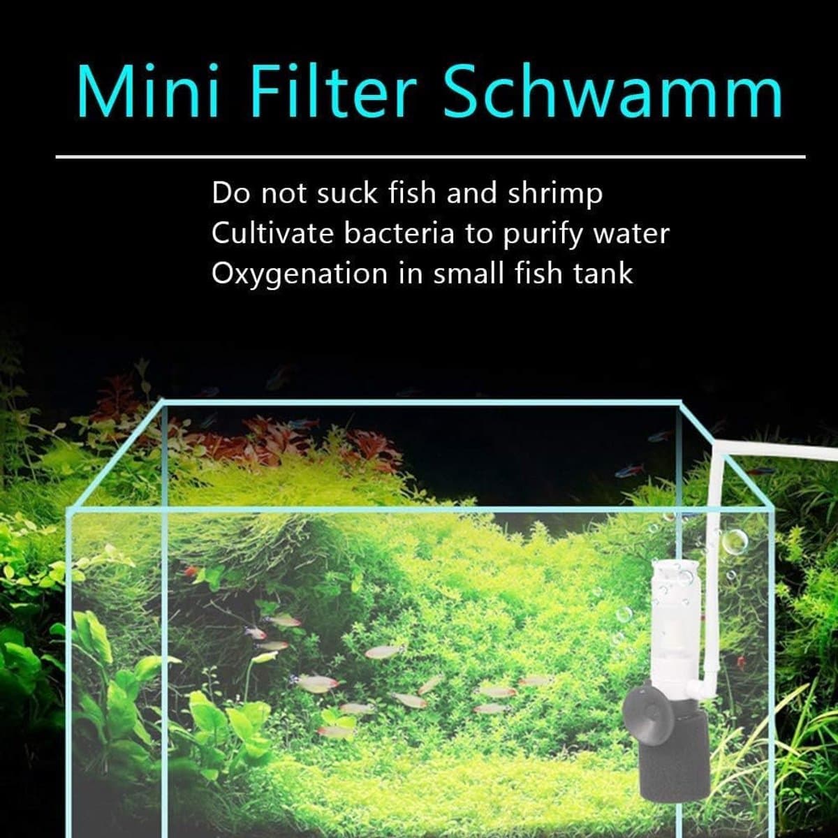 2 stuks zwarte mini-sponsfilter met slang - Ultrastille biologische filter - Drie-laags filtratie - Geschikt voor kleine aquariums - Verbetert de waterkwaliteit - 2*3*10 cm thumbnail 4