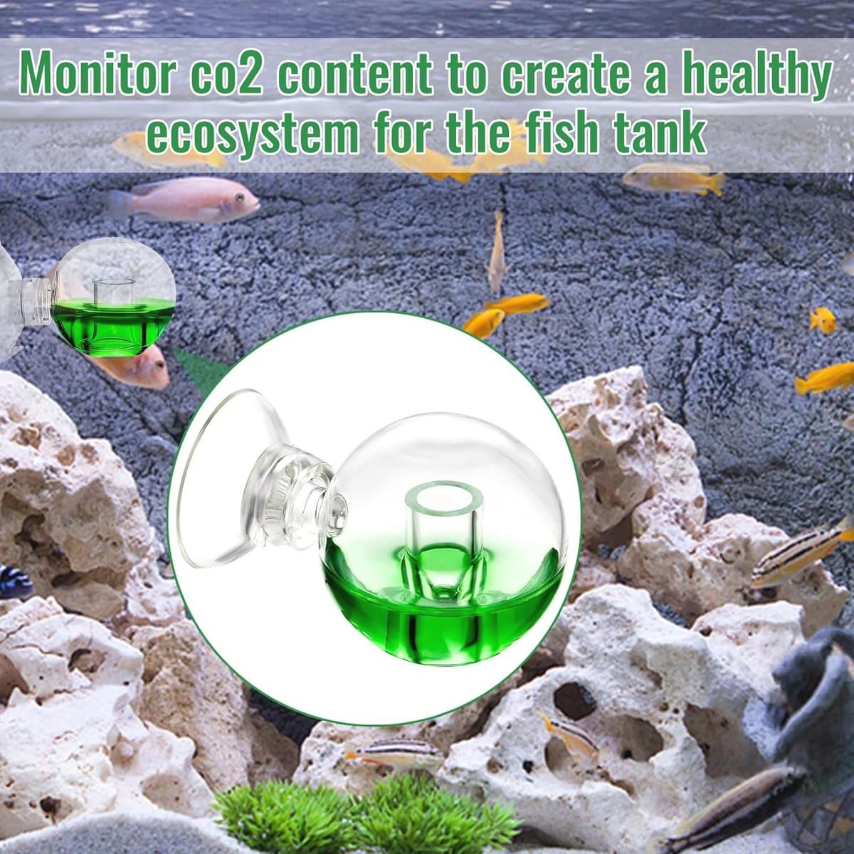 CO2 Testset voor Aquaria - 2 Stuks CO2 Monitor en Druppelchecker voor Zoetwaterplanten thumbnail 5