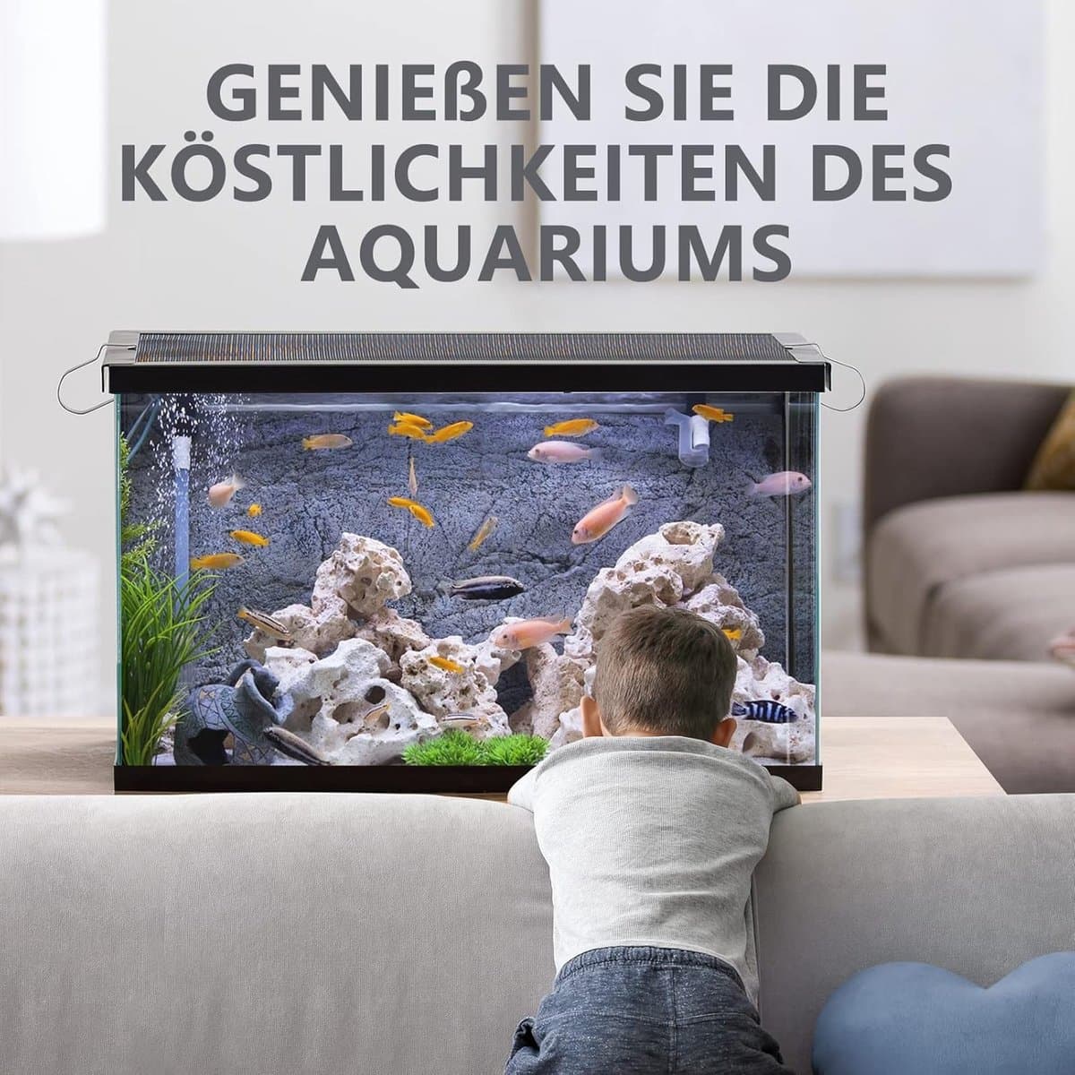 SnelShoppen - 7-in-1 Aquarium Test Strips - 150 Stuks - Waterkwaliteit Testset voor Zoetwater - Nitraat, Nitriet, Hardheid, Alkaliteit, pH, Chloor, Ca thumbnail 4