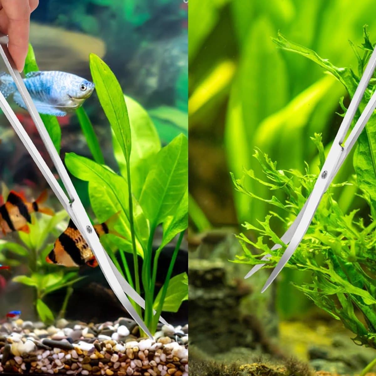 4-in-1 Aquascaping en Aquarium Set - Aquascape tool - Aquarium accessoires - Aquarium reinigingsset - Aquarium set voor plantenverzorging - Met Aquarium Schaar, Aquarium Pincetten en Aquarium Spatel - Voor Aquascaping en Aquarium Planten thumbnail 7
