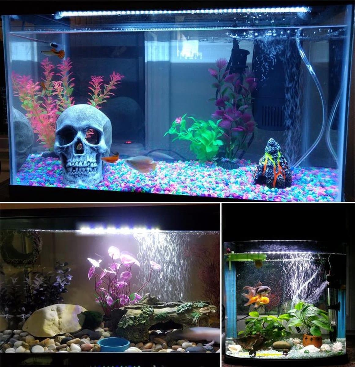 Aquarium LED verlichting twee kleuren licht, blauw en wit licht. Apart regelbaar. Lengte led aquariumlamp 18 cm met 9 led's blauw en wit. Aquarium verlichting die in het water kan. Onderwater ledlamp van 18 cm. thumbnail 5