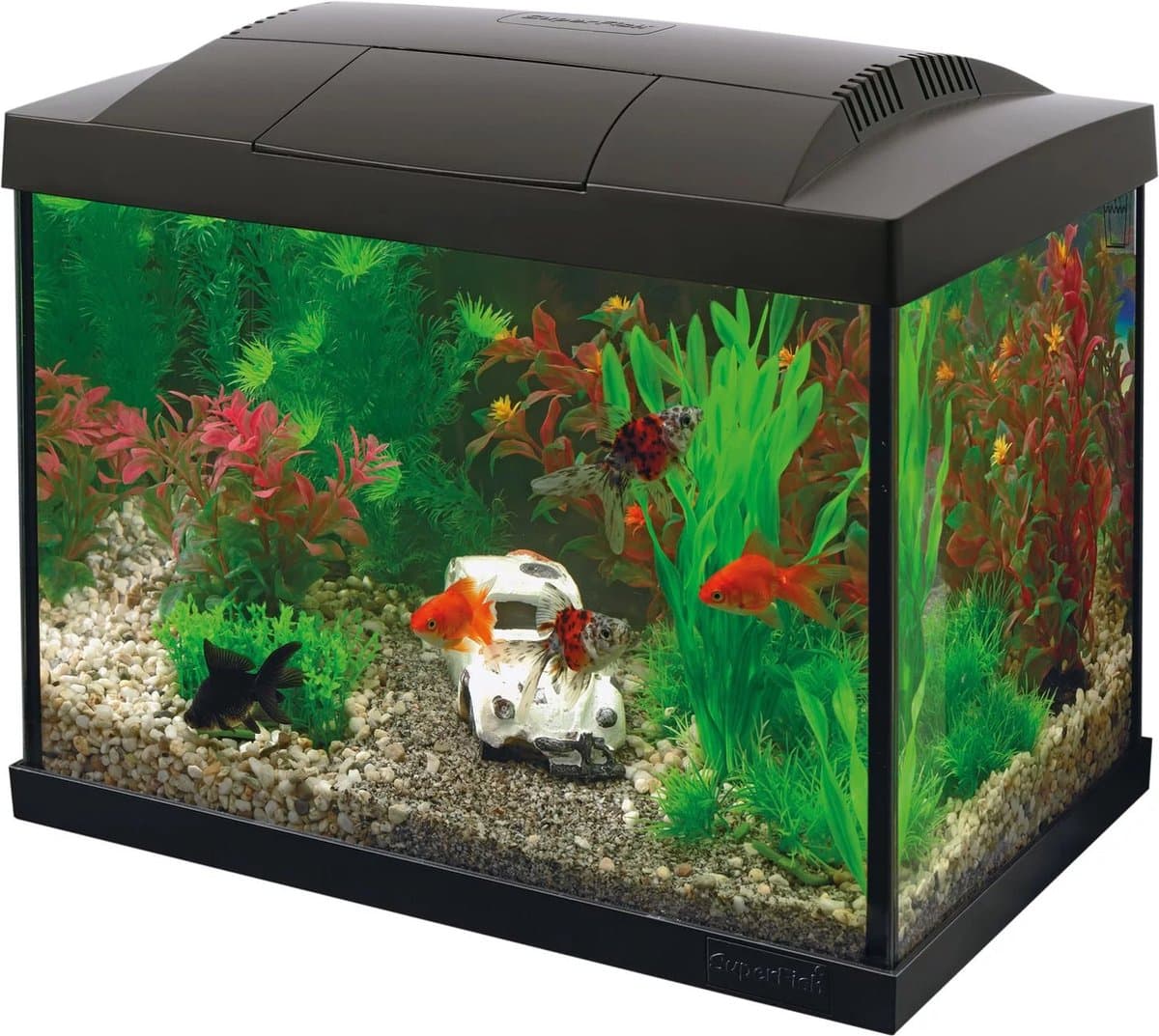 Superfish Aquarium Start 20 Goldfish Kit Led 16 l - Aquaria - Zwart thumbnail 5