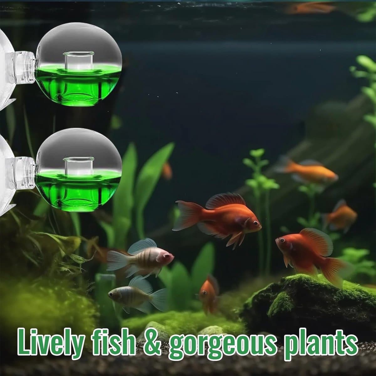 CO2 Testset voor Aquaria - 2 Stuks CO2 Monitor en Druppelchecker voor Zoetwaterplanten thumbnail 4