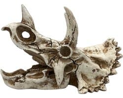 AC Triceratops Dino Schedel Deluxe – Meest verkocht – Prehistorische Aquarium en Terrarium Decoratie – Realistisch Polyresin Ornament