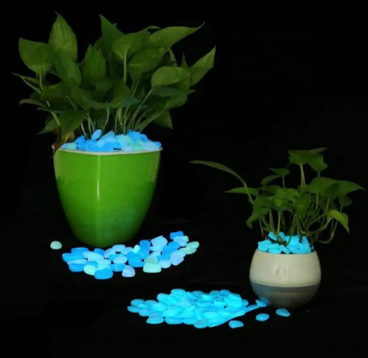 Glow In The Dark Stenen | Decoratie Stenen | Aquarium Steentjes | Tuin Stenen | 40 Stuks | BLAUW thumbnail 3