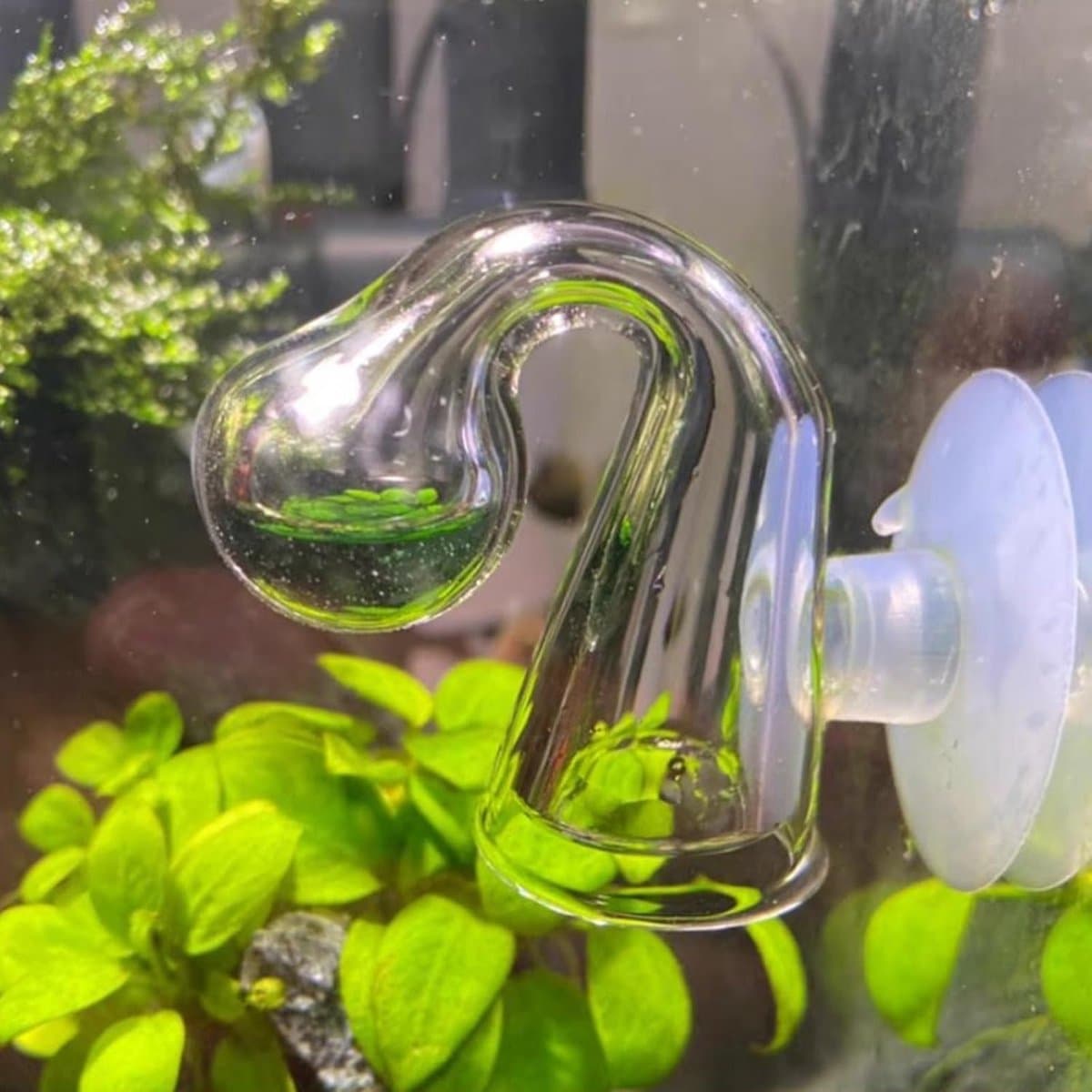 3-delige CO2 testset voor aquaria, inclusief drop checker en monitor voor optimale CO2-niveaus in je aquarium, ideaal voor aquaristiek en vissenwelzijn thumbnail 9
