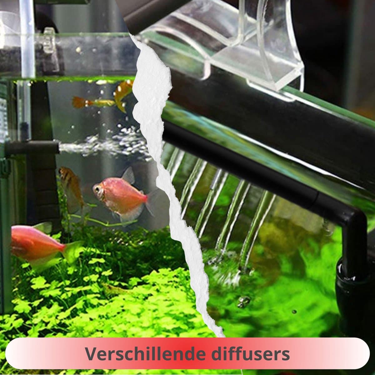 Aquariumfilter 600L/H 70L-150L – Aquarium filter pomp – Zuurstofpomp thumbnail 5