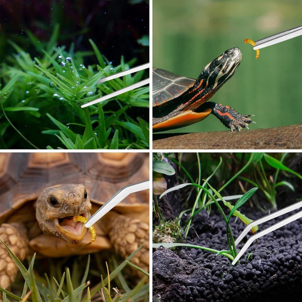1 set - Aquarium Aquascaping gereedschapsset - Pincet - Voedertang - Algenkrabber - Onkruidschaar - Met opbergtas - Zilver - Voor het reinigen van aquaria en het snoeien van planten - Voor starterssets voor vissen, aquaria en terrariums thumbnail 4