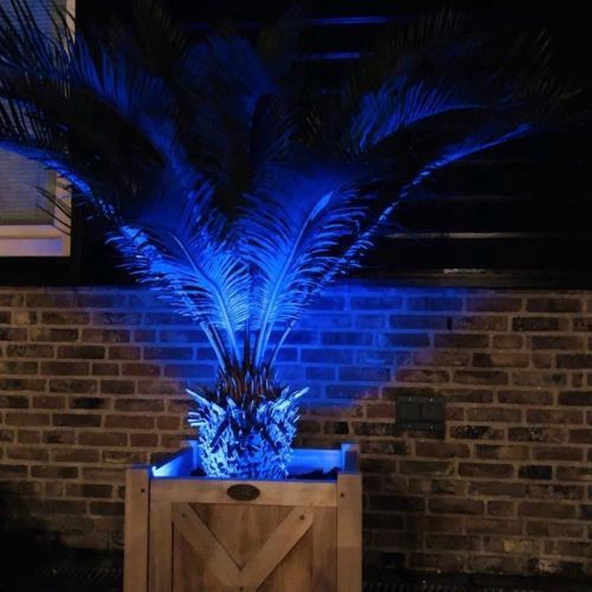 Jumalu RGB Onderwater LED Lampenset op Batterijen – 2 Waterdichte LED Lampen met Afstandsbediening – 16 Kleuren – Dimbaar – IP67 – Geschikt voor Zwembad, Aquarium, Fontein, Vaas en Sfeerverlichting thumbnail 3