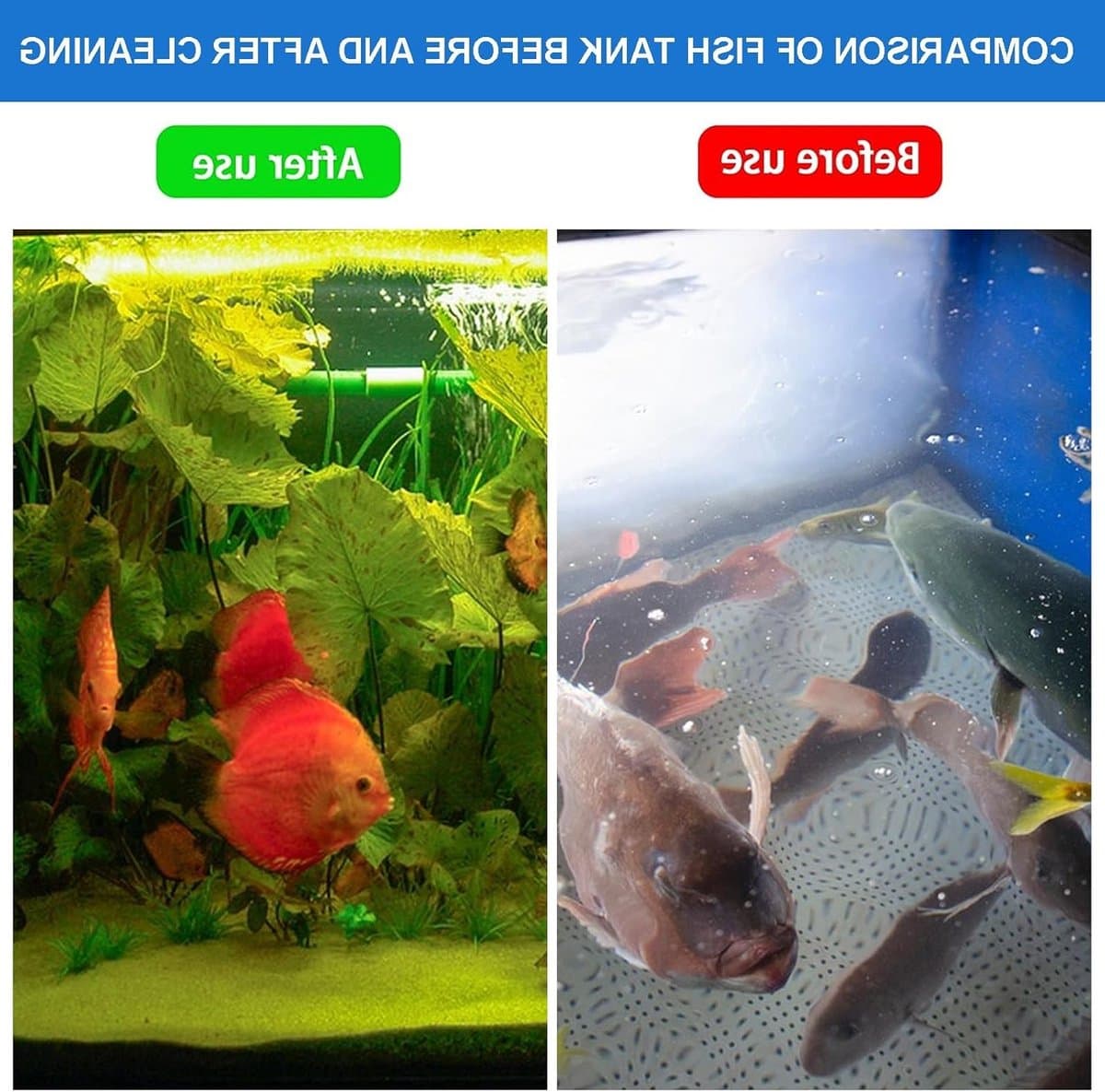 Complete 5-in-1 Aquarium Reinigingsset met Algen Schraper, Borstel, Grind Hark, Plantenvork en Vissen Net voor Efficiënte Onderwater Onderhoud en Schoonmaak thumbnail 7