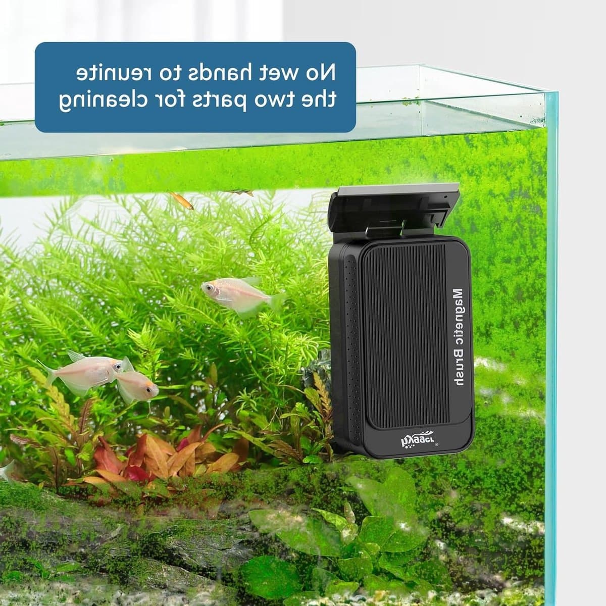 Effectieve Magnetische Algenreiniger voor Aquaria - Glazen Schoonmaakborstel en Drijvende Scrubber met Verwijderbare Schraper voor Optimale Onderhoud van je Aquarium thumbnail 6