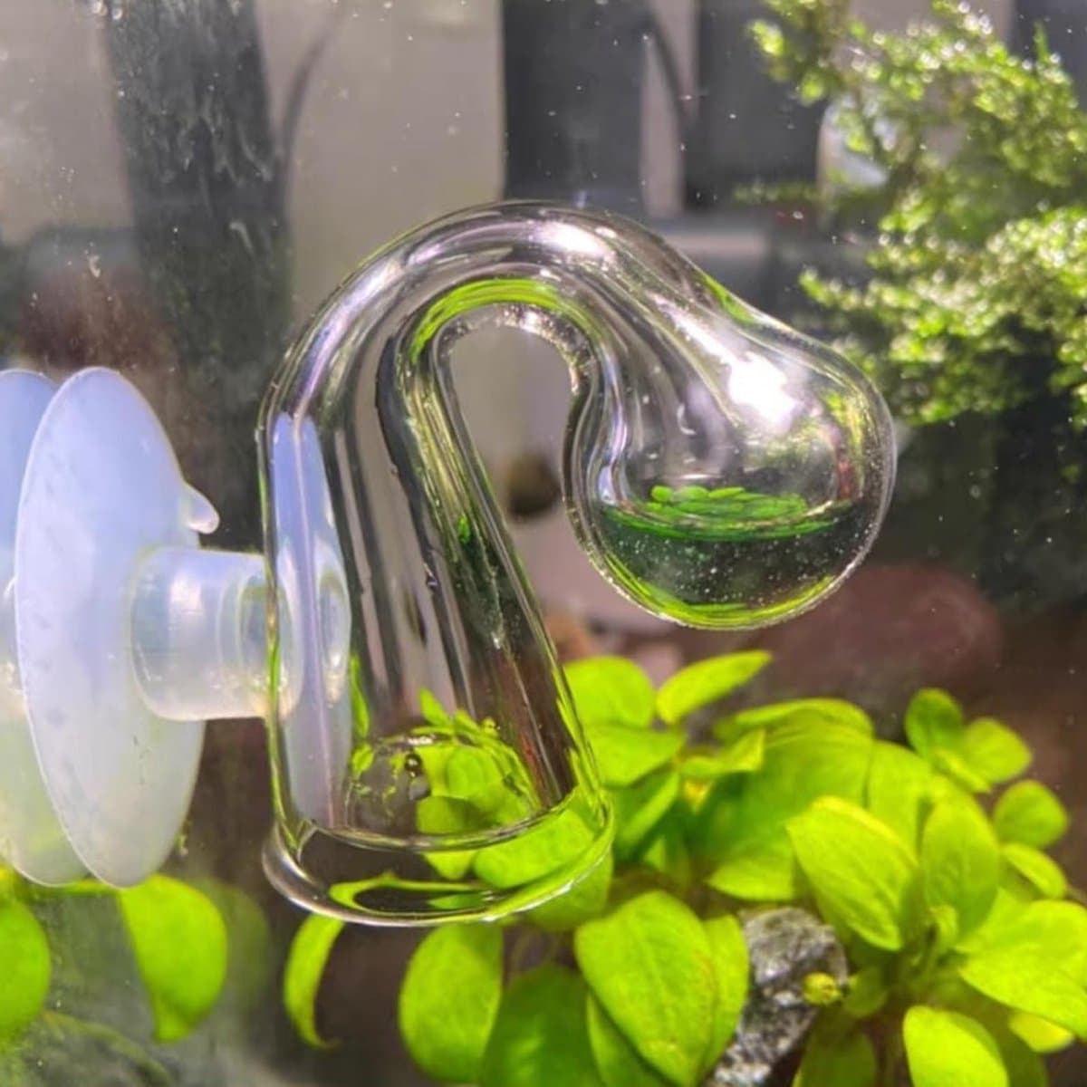 3-delige CO2 testset voor aquaria, inclusief drop checker en monitor voor optimale CO2-niveaus in je aquarium, ideaal voor aquaristiek en vissenwelzijn thumbnail 4