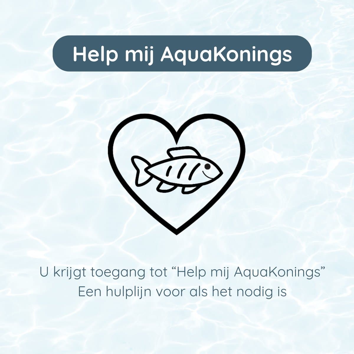 AquaKonings – Aquarium – Aquarium met afgeronde hoeken - Aquariumkit 60x30x36 64L thumbnail 6