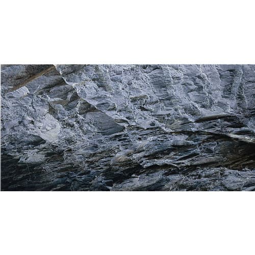 Aquatic Nature Foto Achterwand AD 60 x 40