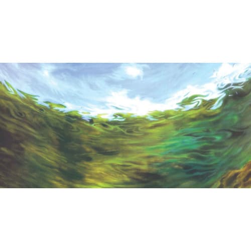 Aquatic Nature Foto Achterwand BC 100 x 50