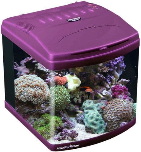 Aquatic Nature Evolution Purple