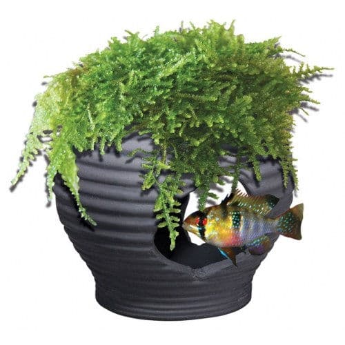 Aquatic Nature Decor Mumo 2