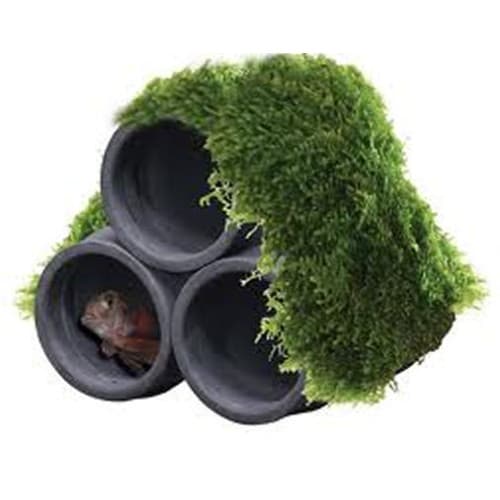 Aquatic Nature Decor Mumo 5