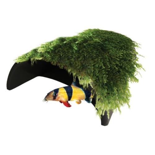 Aquatic Nature Decor Mumo 6