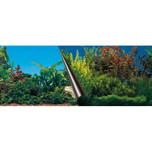 Europet Foto Achterwand Beauty & Sea 30x60cm