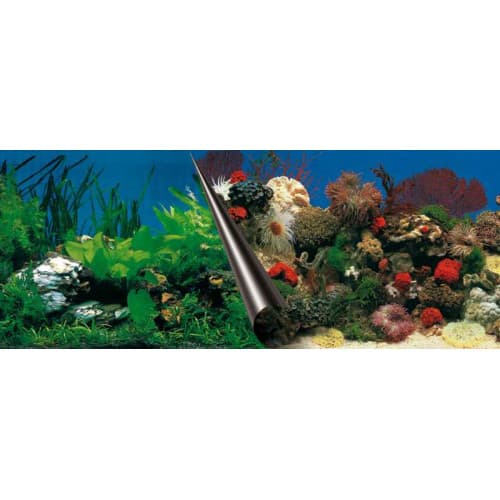 Europet Foto Achterwand Stone & Coral 30x60cm